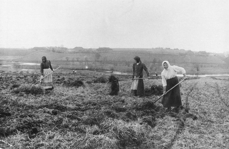 File:Naised Tartumaal sõnnikut laotamas 1913.jpg
